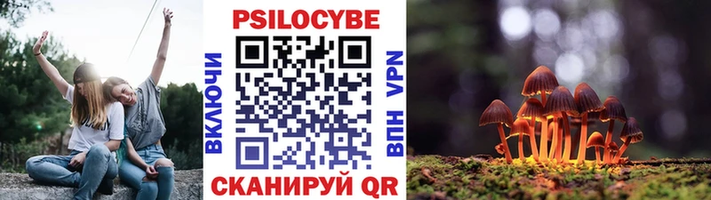 Псилоцибиновые грибы прущие грибы даркнет сайт Кедровый